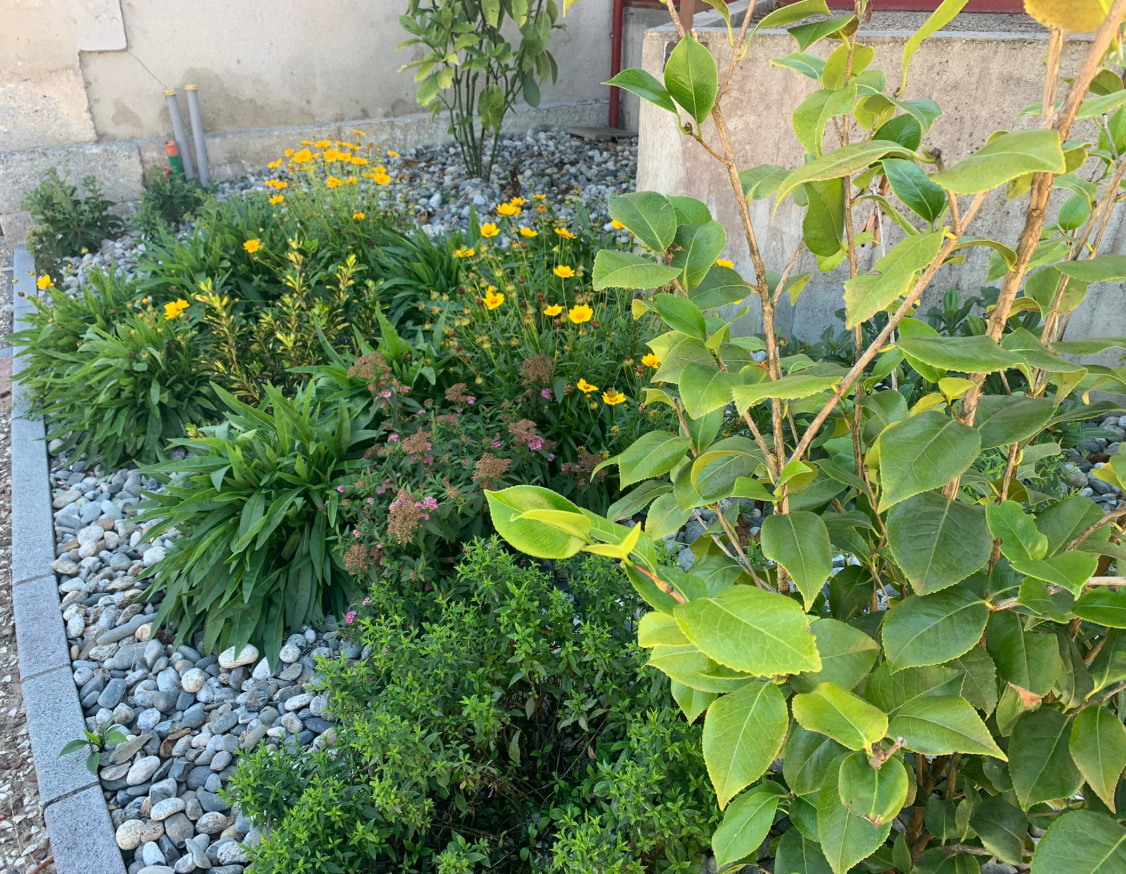 création de parcs et jardin