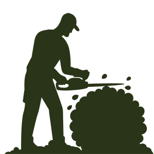 Taille de formation et d'entretien